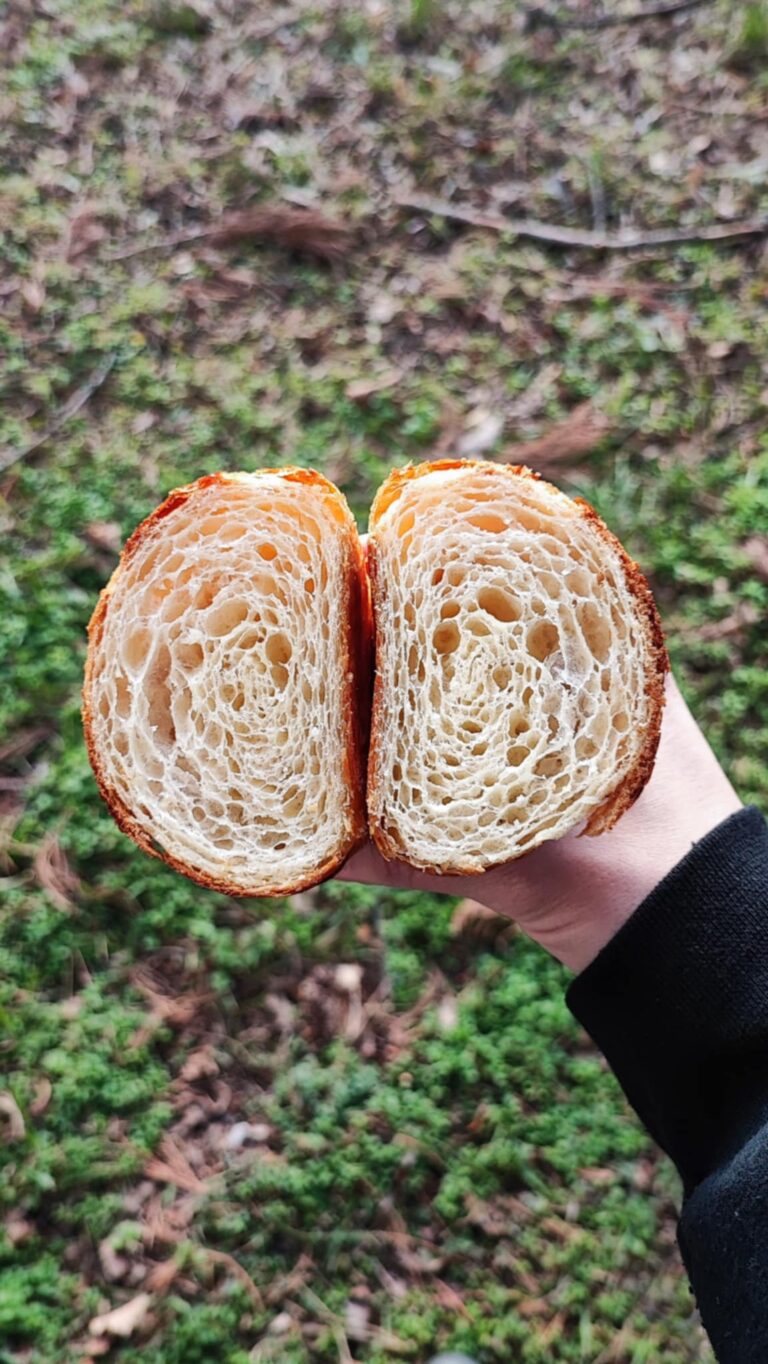 65378b15-e730-4262-b9f2-b7f93284d22e